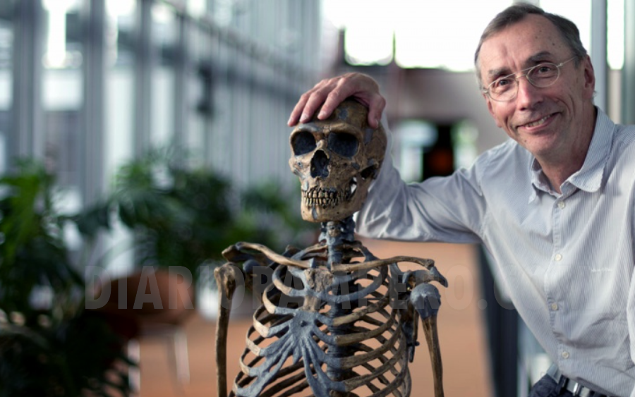 Increíble avance: logró secuenciar el genoma completo del  neandertal y ganó el Premio Nóbel de Medicina 2022 CIENCIA