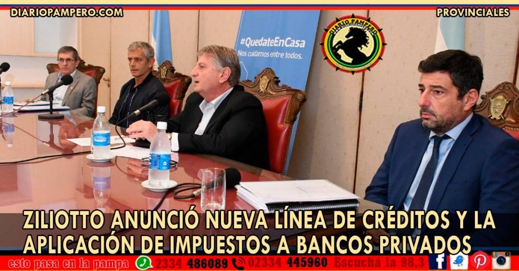 Ziliotto anunció nueva línea de créditos y la aplicación de impuestos a bancos privados