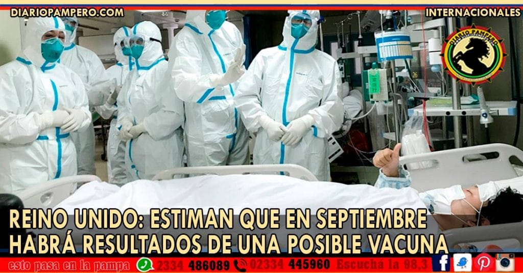 Reino Unido: estiman que en septiembre habrá resultados de una posible vacuna