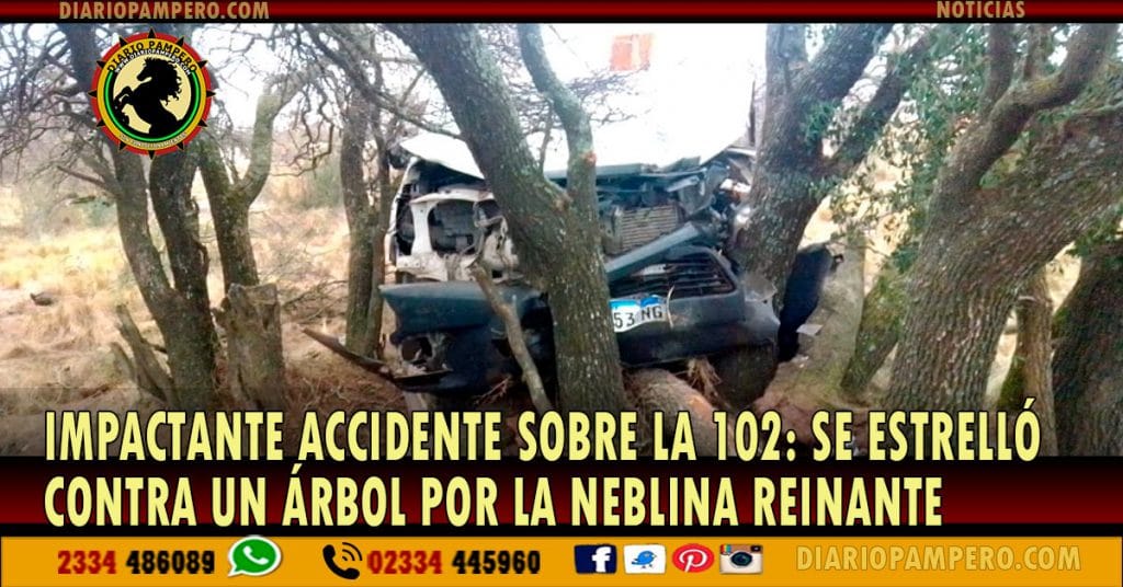 IMPACTANTE ACCIDENTE SOBRE LA 102: se estrelló contra un árbol por la neblina reinante