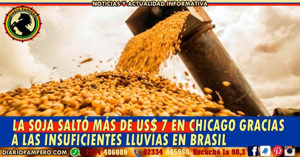 La soja saltó más de US$ 7 en Chicago gracias a las insuficientes lluvias en Brasil