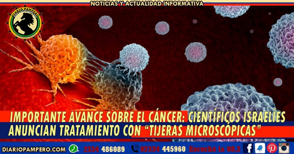 IMPORTANTE AVANCE SOBRE EL CÁNCER: científicos israelíes anuncian tratamiento con “tijeras microscópicas”