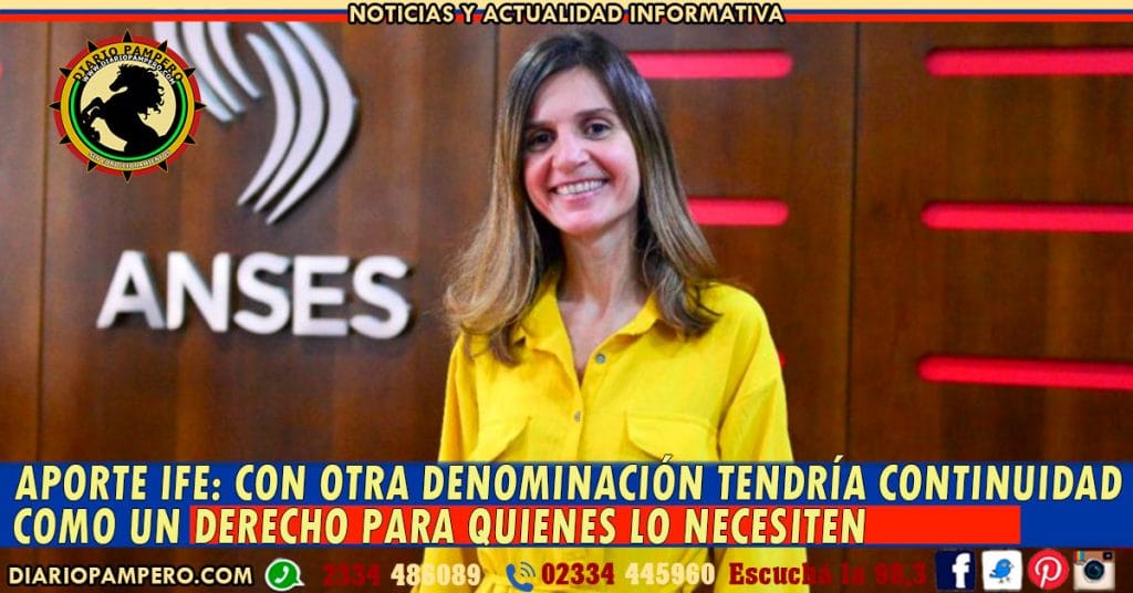 APORTE IFE: con otra denominación tendría continuidad como un derecho para quienes lo necesiten