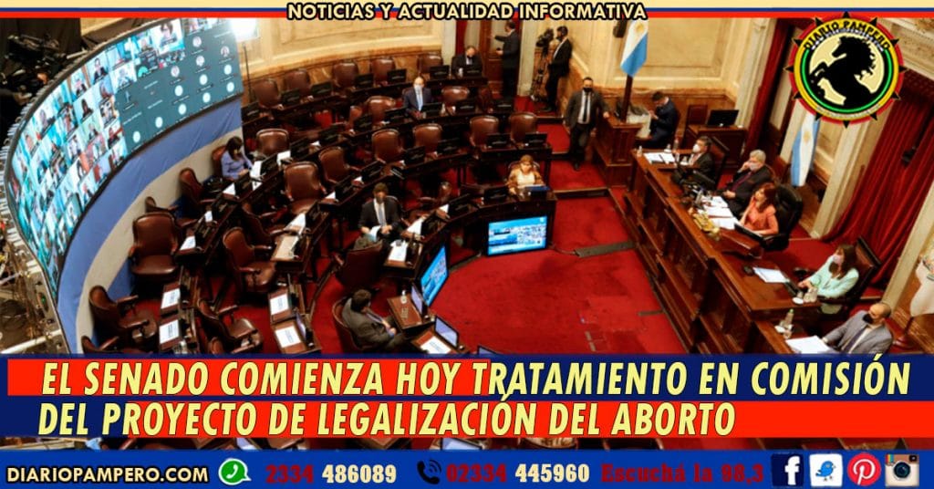 El Senado comienza hoy tratamiento en comisión del proyecto de legalización del aborto
