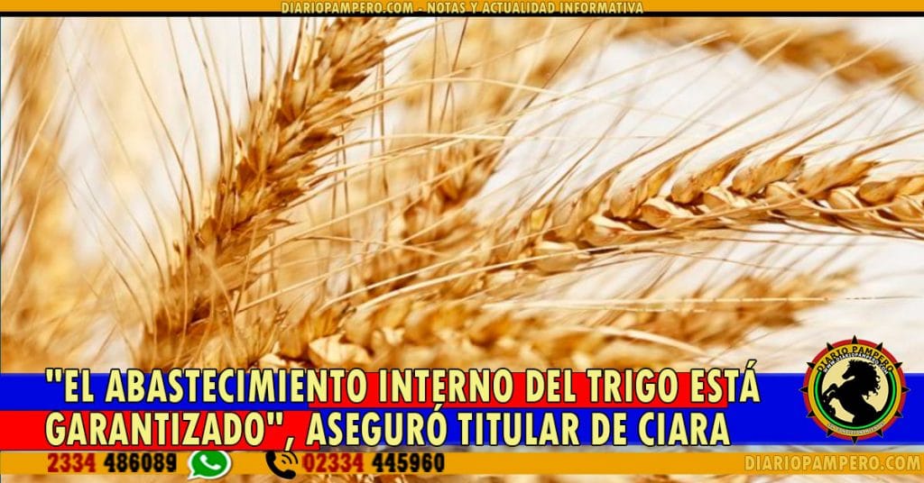 «El abastecimiento interno del trigo está absolutamente garantizado», aseguró el titular de Ciara