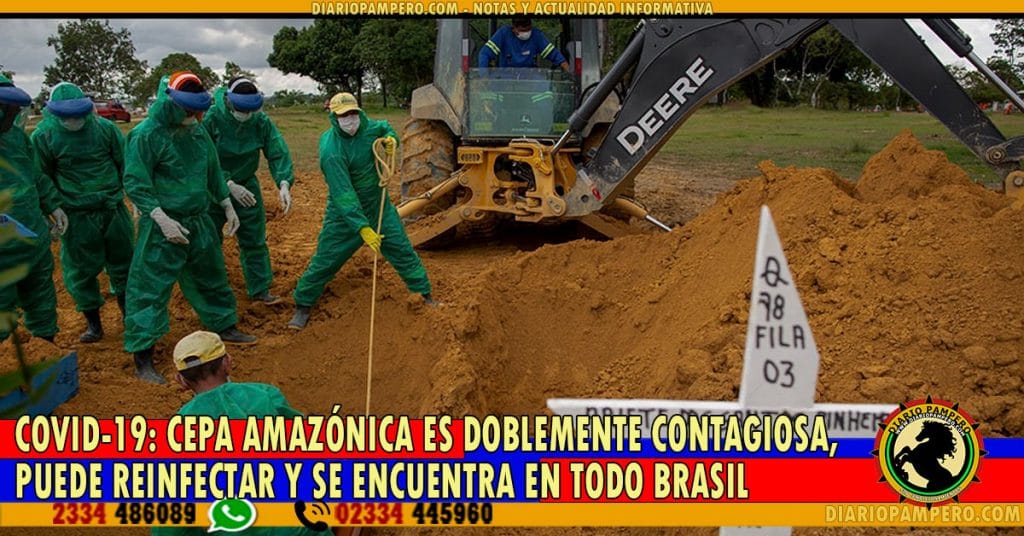 COVID-19: cepa amazónica es doblemente contagiosa, puede reinfectar y se encuentra en todo Brasil