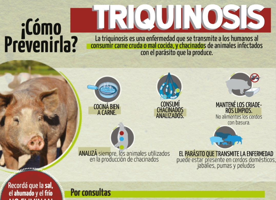 grafica sobre triquinosis