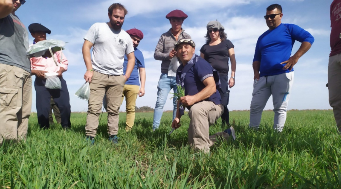 imagen de trabajadores rurales