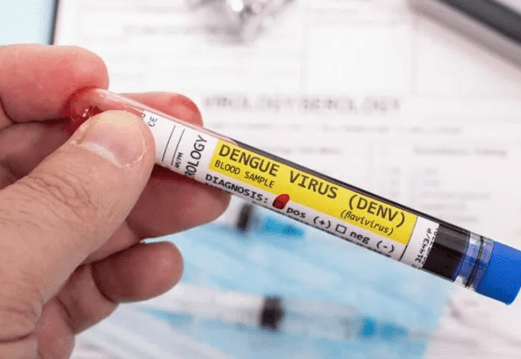 Primer caso de dengue autóctono en La Pampa