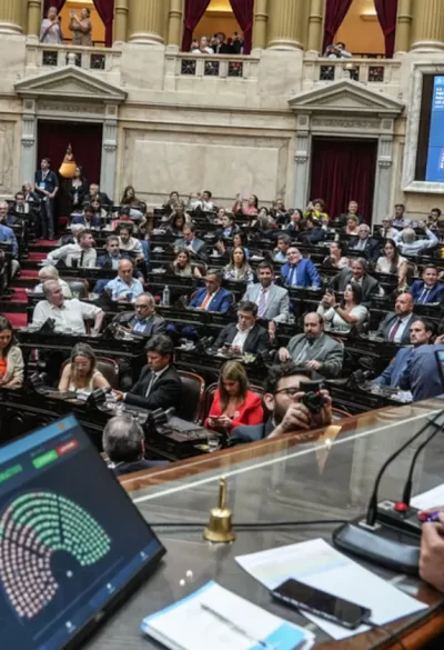 Diputados aprobó prohibir la emisión sin respaldo