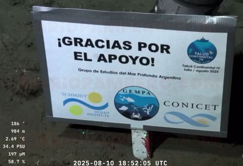 Científicos del Conicet conmueven con mensaje desde el fondo del mar
