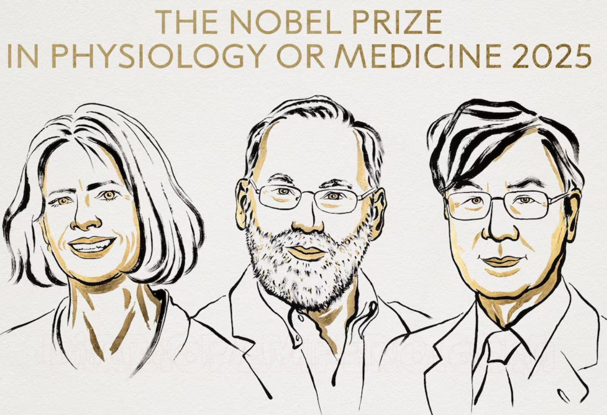 Nobel de Medicina 2025 para Brunkow, Ramsdell y Sakaguchi por sus estudios sobre la autoinmunidad