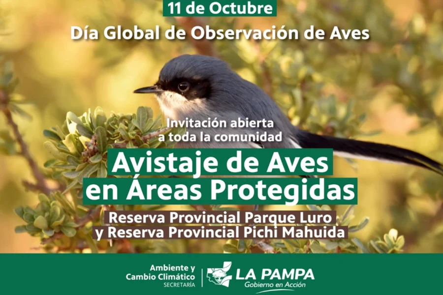 Explora la biodiversidad pampeana en una jornada única de avistaje de aves