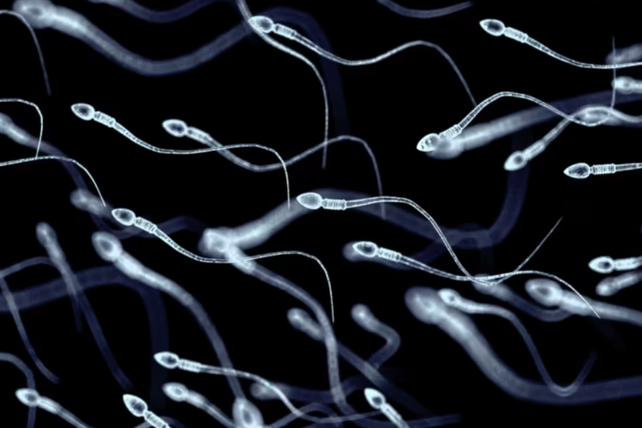 Alerta en Europa: Donante con gen cancerígeno tuvo casi 200 hijos