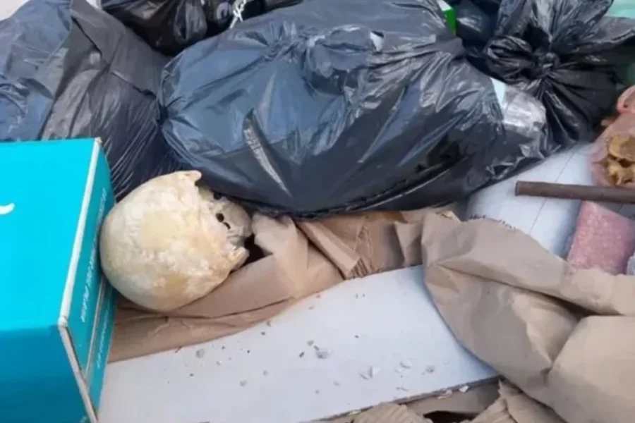 Mar del Plata: encuentran un cráneo humano a metros de una playa muy concurrida