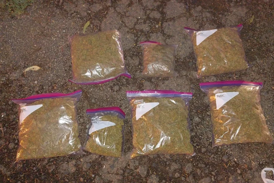 Desarticulan red de narcotráfico en el norte provincial