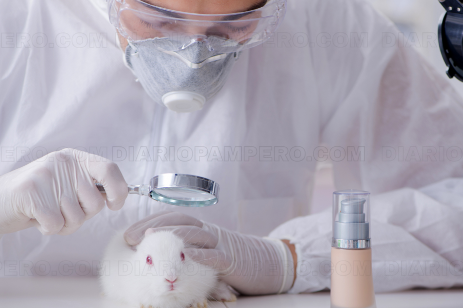 La UE prohíbe los artículos de limpieza testeados en animales