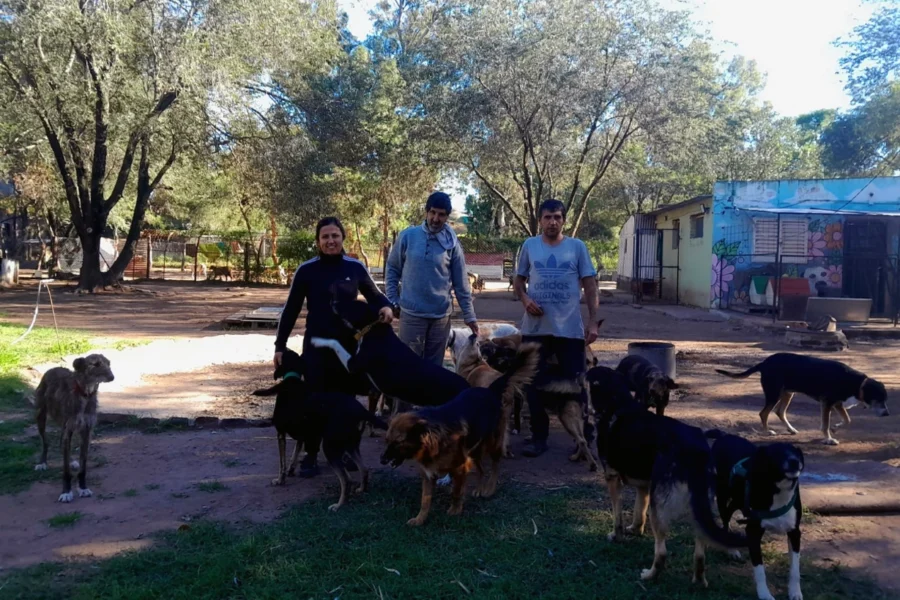 El refugio municipal de Eduardo Castex y la tarea diaria de cuidar a más de 80 perros