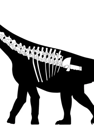 Descubren en Chubut una nueva especie de dinosaurio