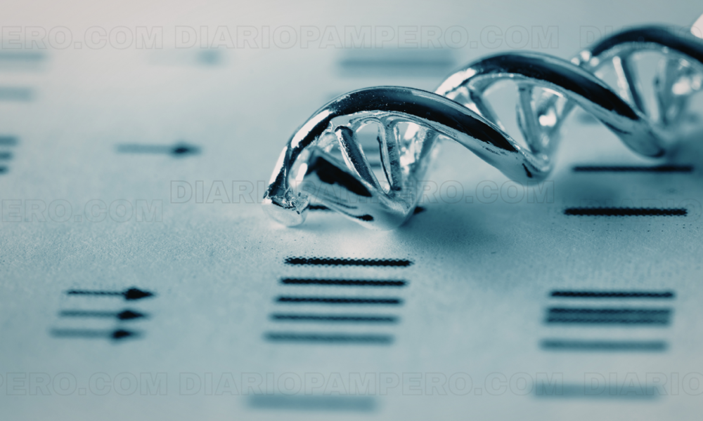 Nuevo bisturí molecular ThermoCas9