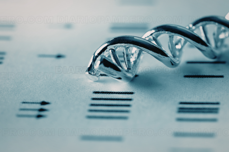 Nuevo bisturí molecular ThermoCas9