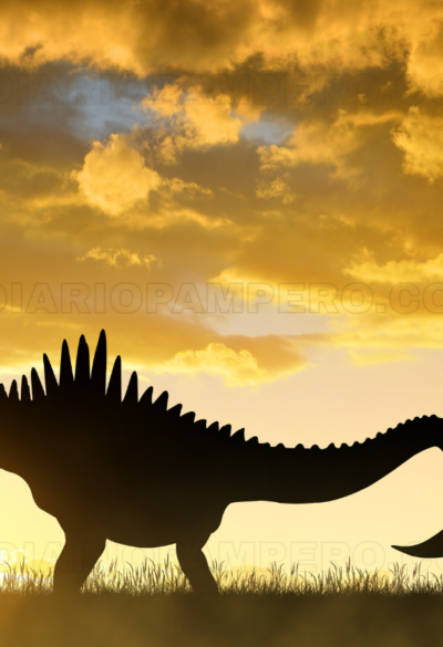 Descubren huevos de titanosaurio de 72 millones de años