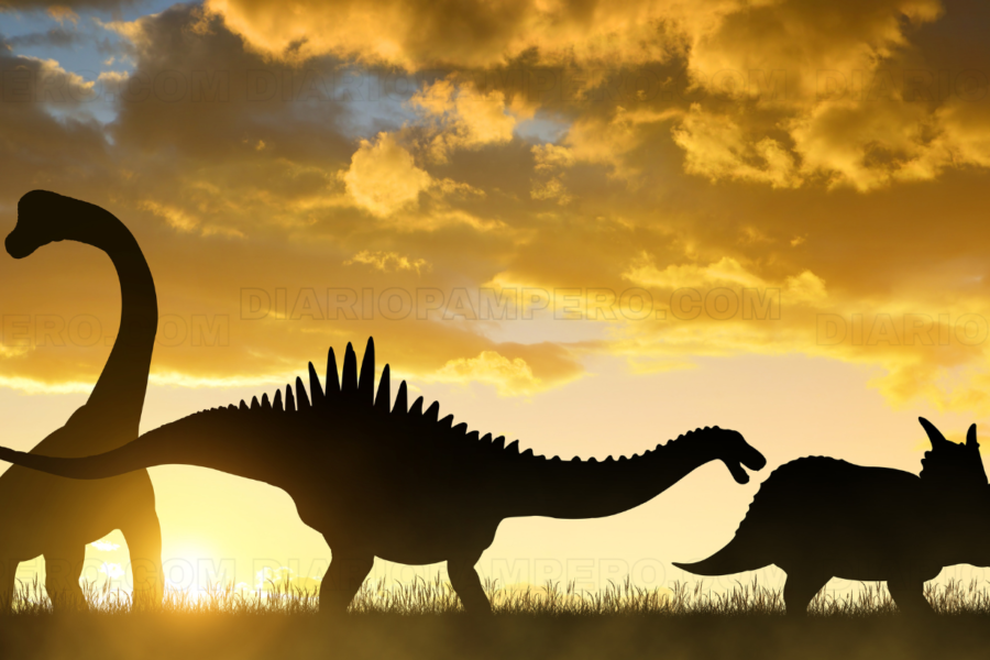 Descubren huevos de titanosaurio de 72 millones de años