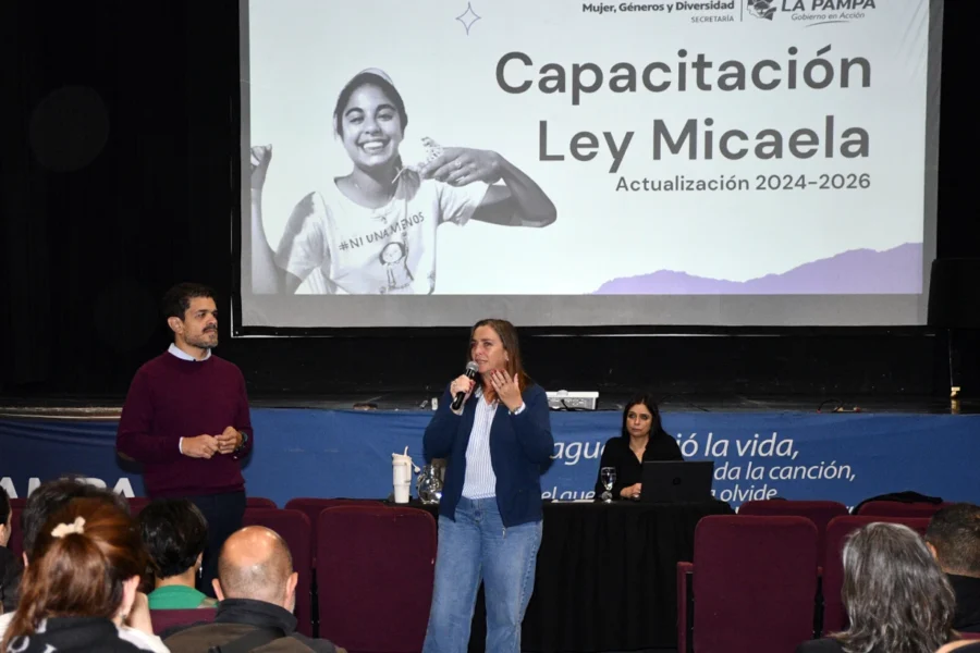 Más de 270 agentes públicos participaron en capacitación sobre Ley Micaela
