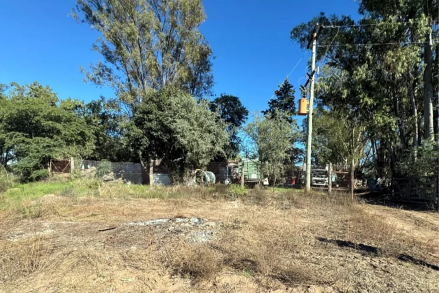 Hallan sin vida a un hombre de 60 años en un establecimiento rural de Conhelo