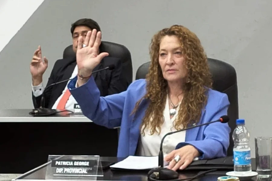 Patricia George impulsó la Ley de Emergencia en Salud Mental