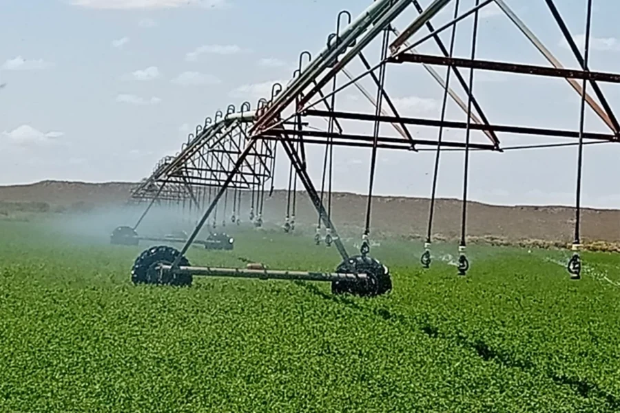La alfalfa premium pampeana abre mercados y proyecta nuevos negocios en Asia