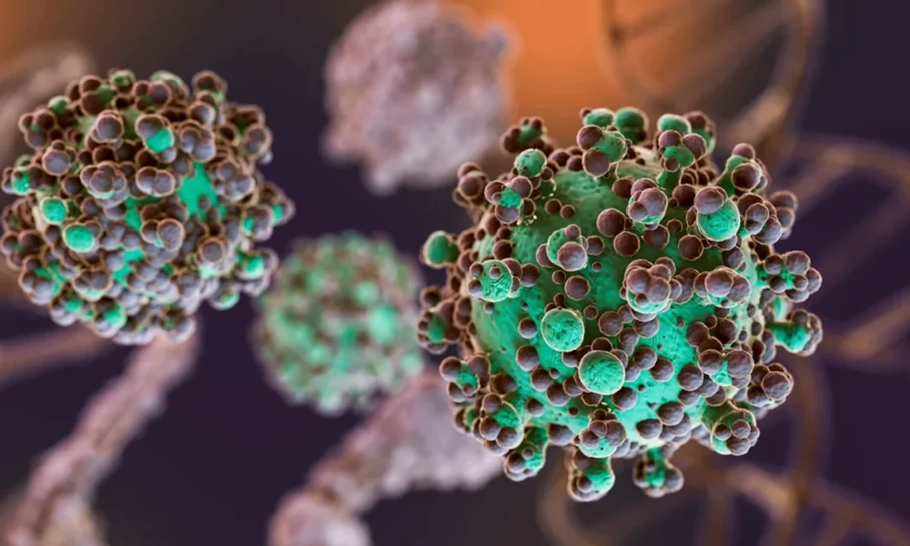 Hantavirus en Argentina: ya son 102 los casos confirmados