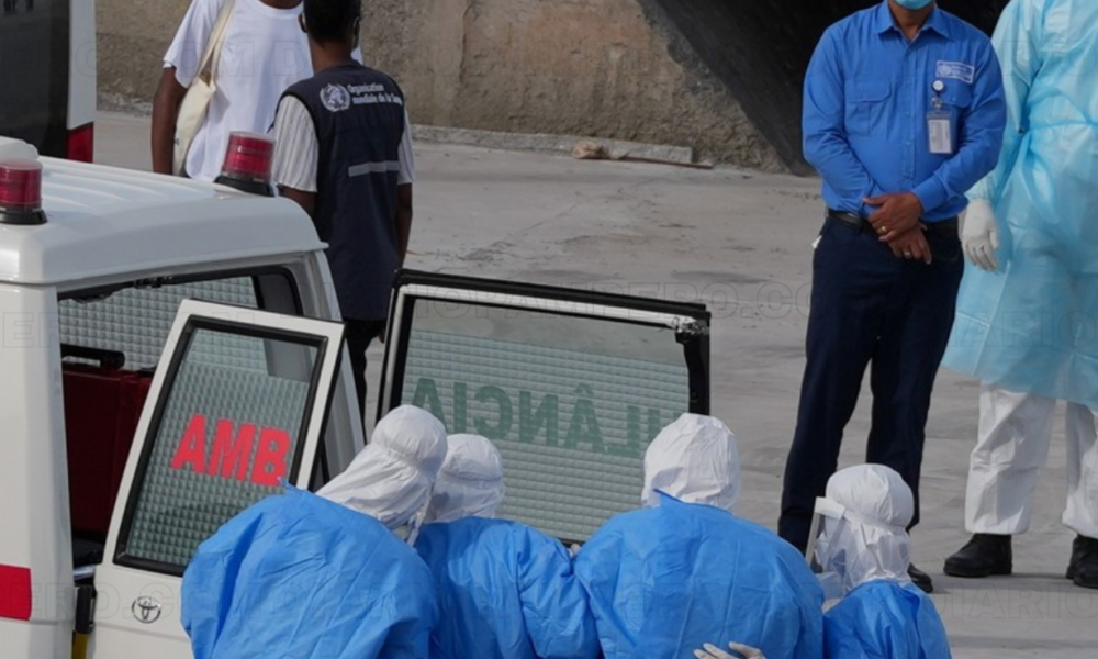 Detectan cepa andina de hantavirus en crucero MV Hondius