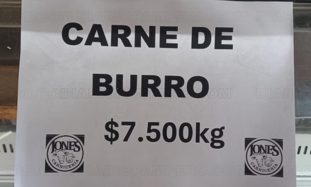 La Justicia investiga la venta ilegal de carne de burro en Chubut