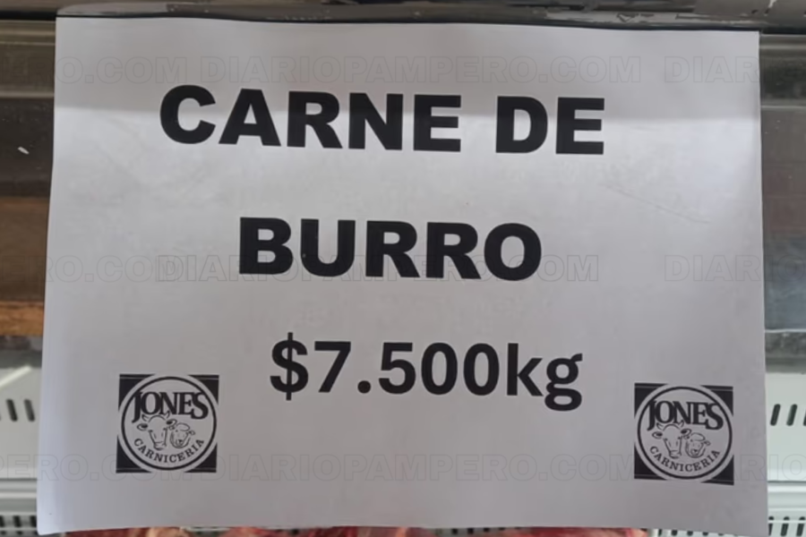 La Justicia investiga la venta ilegal de carne de burro en Chubut