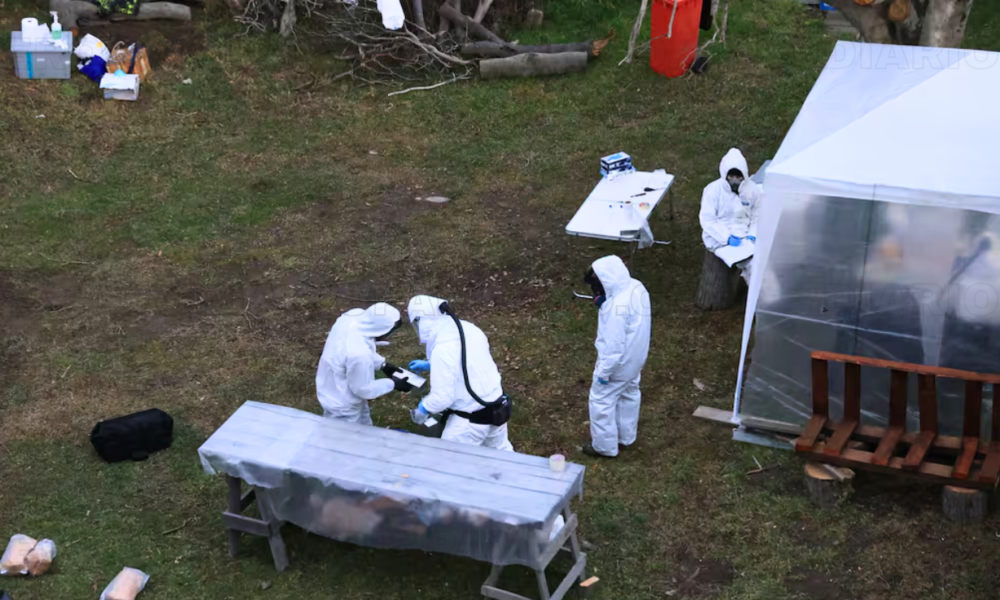 Culmina el operativo del Malbrán en Ushuaia