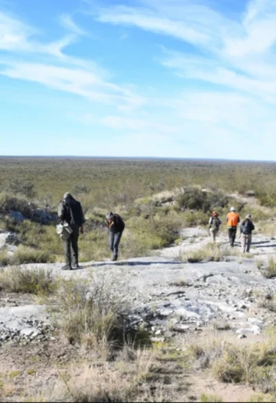 El Museo de Historia Natural supervisó estudios paleontológicos en Limay Mahuida