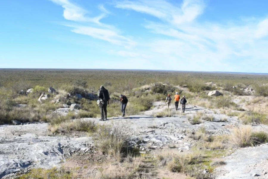 El Museo de Historia Natural supervisó estudios paleontológicos en Limay Mahuida