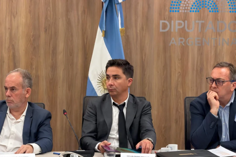 La Pampa defendió en el Congreso la continuidad de la obra pública