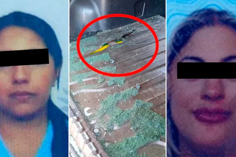 Detuvieron en Salta a una médica de Gendarmería y a una cosmetóloga con 70 kilos de cocaína