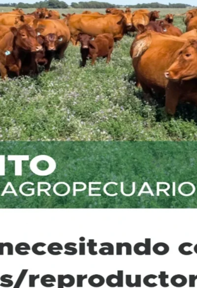 Nueva línea de créditos por hasta $200 millones para fortalecer la producción agropecuaria