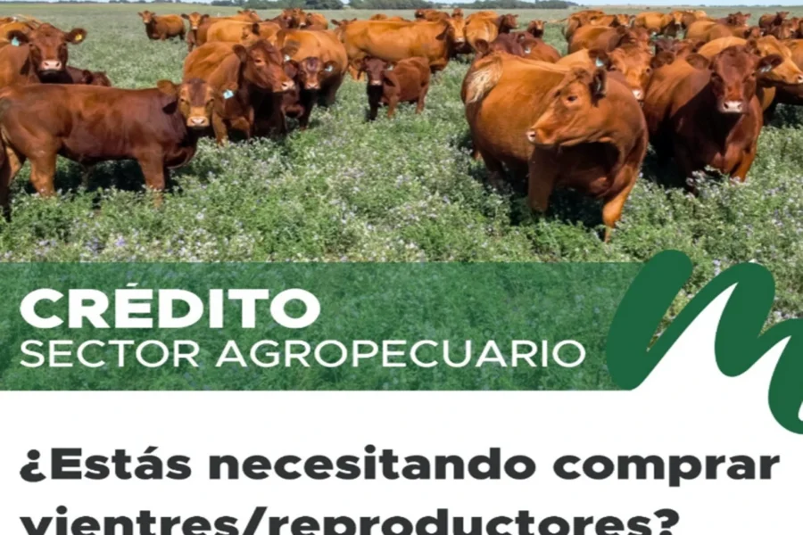 Nueva línea de créditos por hasta $200 millones para fortalecer la producción agropecuaria