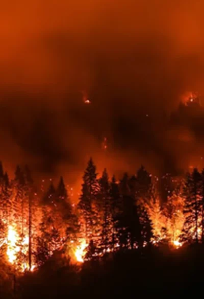 California enfrenta un incendio que ya consumió más de 800 hectáreas