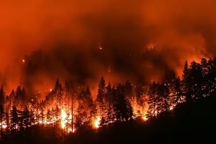 California enfrenta un incendio que ya consumió más de 800 hectáreas
