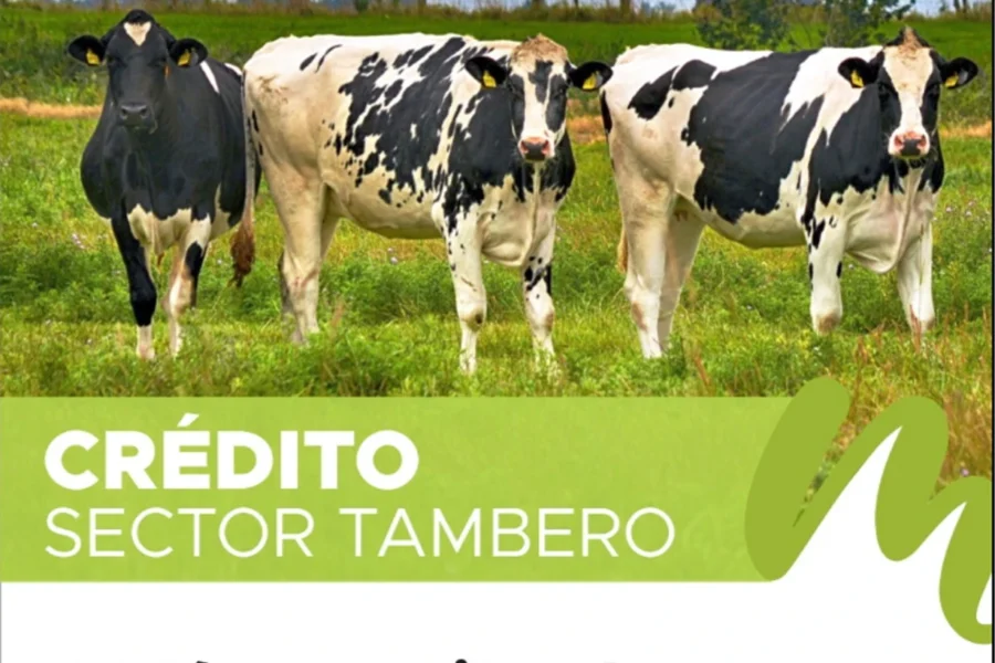 Créditos de hasta $200 millones para impulsar inversiones en tambos de La Pampa