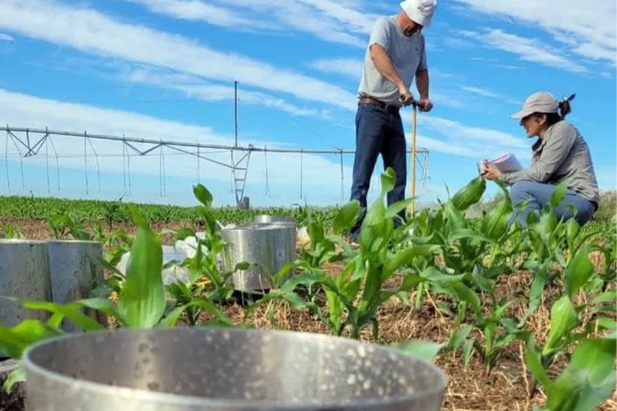 La eficiencia en el uso del agua impulsa nuevas herramientas para optimizar el riego