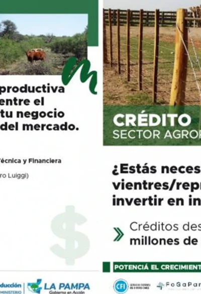 Entra en vigencia una nueva línea crediticia para impulsar el sector agropecuario pampeano