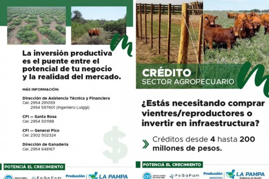Entra en vigencia una nueva línea crediticia para impulsar el sector agropecuario pampeano