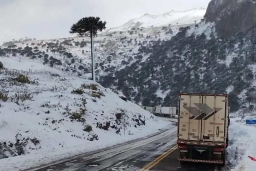 Murió un camionero mientras esperaba cruzar a Chile
