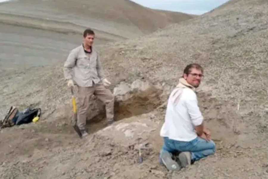 Científicos del CONICET reconstruyen por primera vez el cráneo de un plesiosaurio patagónico